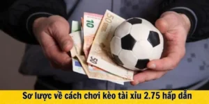 Phân Tích Kèo 2.75 Và Cách Đọc Tỷ Lệ Tài Xỉu Chính Xác