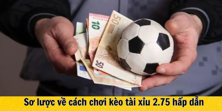 Phân Tích Kèo 2.75 Và Cách Đọc Tỷ Lệ Tài Xỉu Chính Xác