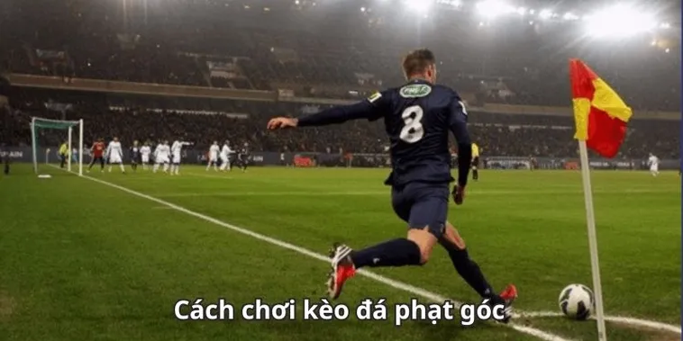 Bí Quyết Soi Kèo Phạt Góc Bóng Đá Luôn Mang Lại Kết Quả Khả Quan
