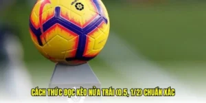 Phân Tích Kèo Chấp 0.5 Trong Bóng Đá Và Châm Ngôn Chiến Thắng