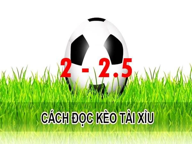 Phân Tích Chi Tiết Kèo 2.25 Để Tối Ưu Hóa Cơ Hội Chiến Thắng