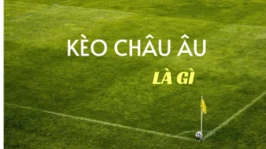 Bí Quyết Đọc Kèo Châu Âu Để Nhận Diện Cơ Hội Thắng Trận Cực Cao