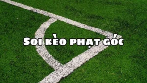 Bí Quyết Soi Kèo Phạt Góc Bóng Đá Luôn Mang Lại Kết Quả Khả Quan