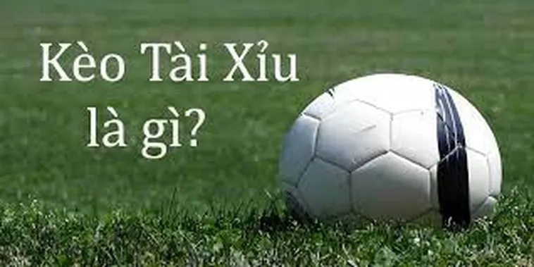Những Điều Cần Biết Về Kèo Tài Xỉu Trong Bóng Đá Hiện Đại