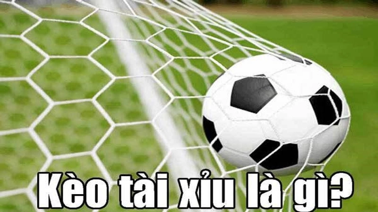 Bí Quyết Đọc Kèo Tài Xỉu Bóng Đá Luôn Giành Được Lợi Thế Lớn