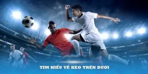 Biến Động Kèo Trên Kèo Dưới Và Chiến Thuật Đầu Tư Hiệu Quả