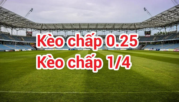 Giải Mã Kèo Chấp 0.25 Và Cách Tính Tiền Trong Bóng Đá Chi Tiết